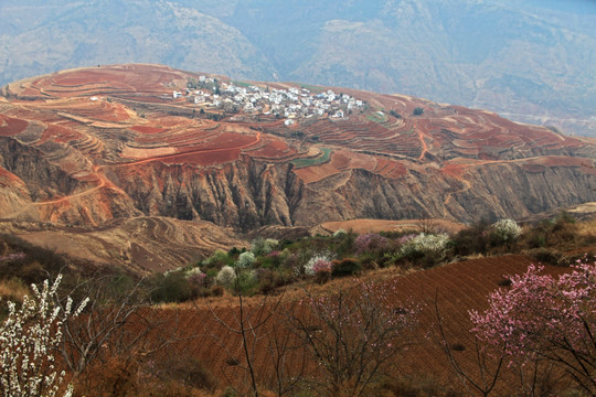 东川落霞沟红土地