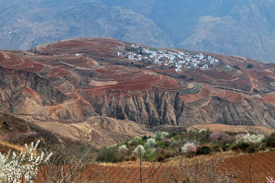 东川落霞沟红土地