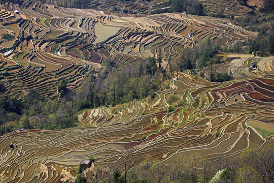 元阳哈尼梯田