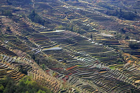 元阳哈尼梯田