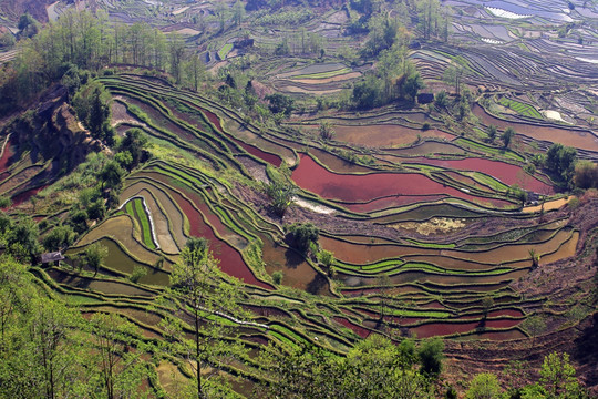 元阳哈尼梯田