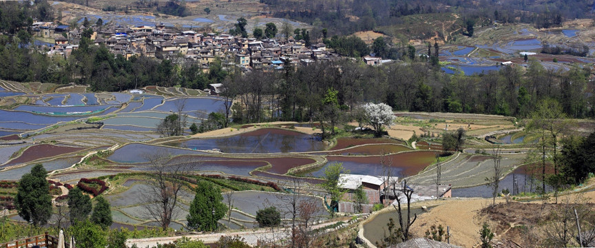 元阳哈尼梯田