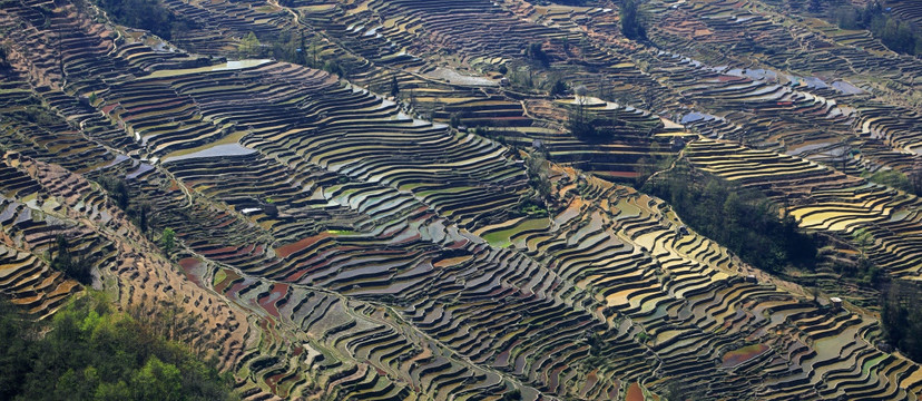 元阳哈尼梯田