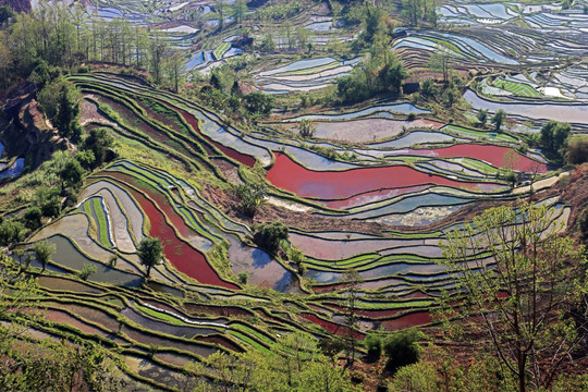 元阳哈尼梯田