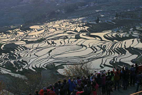 元阳哈尼梯田