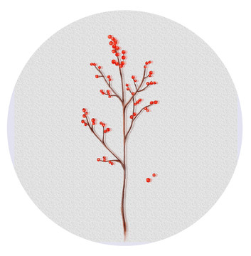 漿果板繪植物插畫