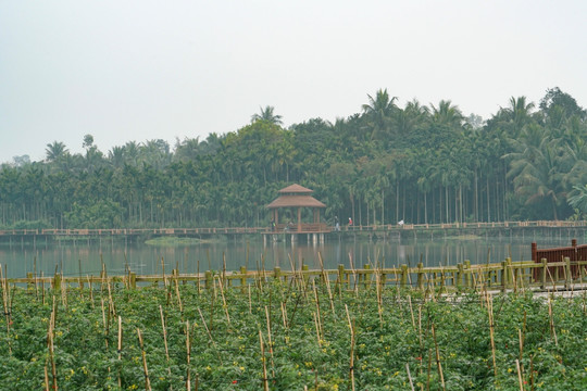 新农村乡村旅游