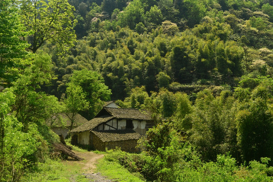 龙王村风光