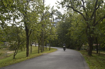 公园道路