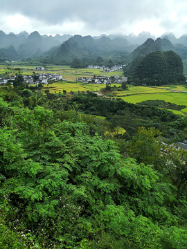 万峰林