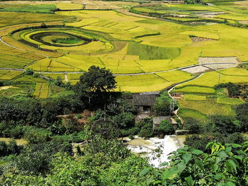 万峰林