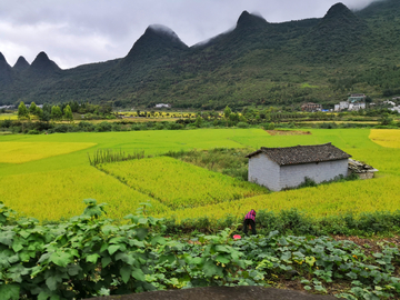 万峰林