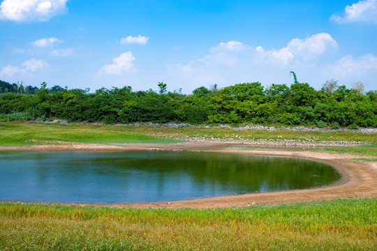 野外池塘水塘