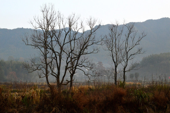 山村风景