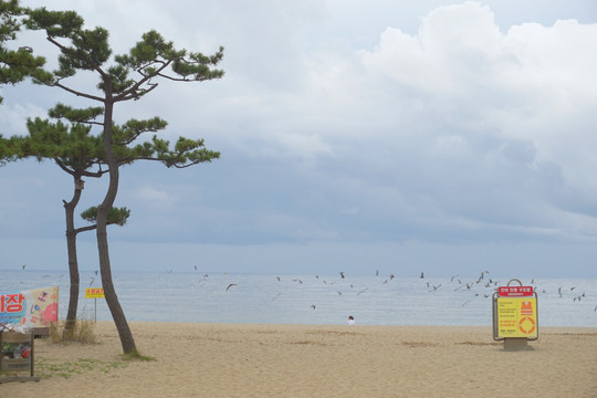 韩国洛山海水浴场风光