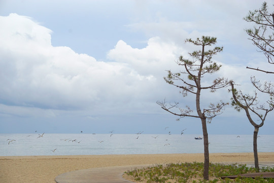 韩国洛山海水浴场风光