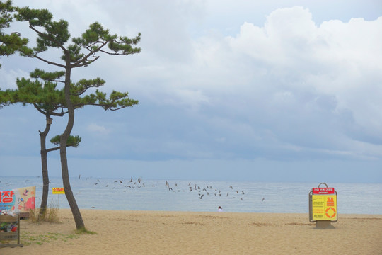 韩国洛山海水浴场风光