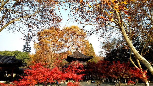 南京栖霞山秋色