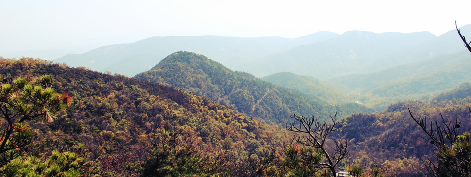 多彩沂山