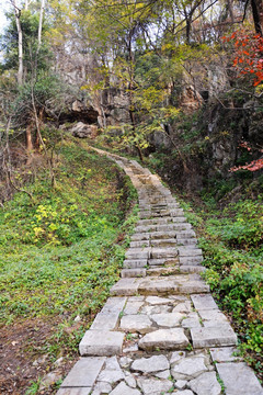 山林石阶小道