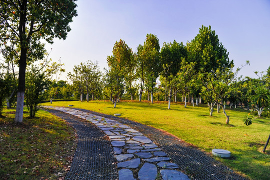 武汉园博园风景