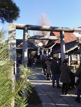 神社初詣