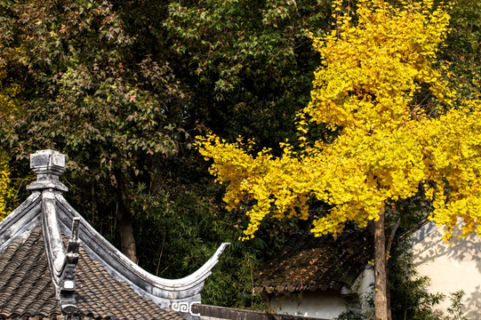 苏州天平山