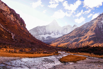 稻城亚丁秋天秋季秋景