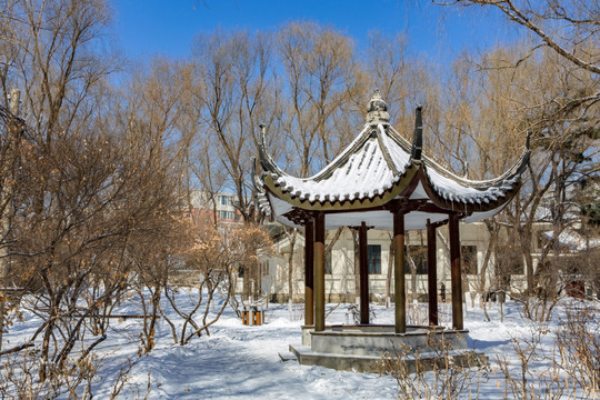 雪景