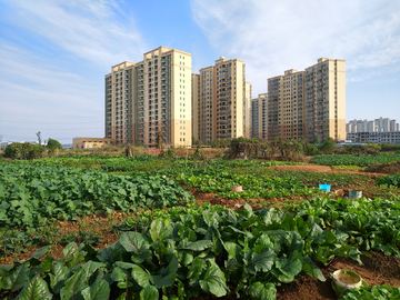 城市廢墟