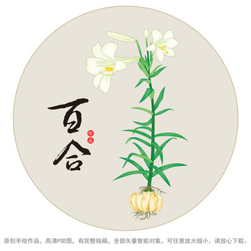 百合