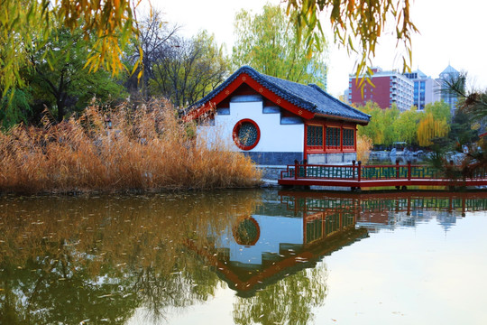 北京大观园秋色