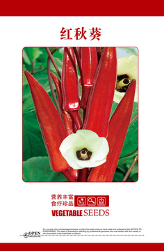 紅秋葵
