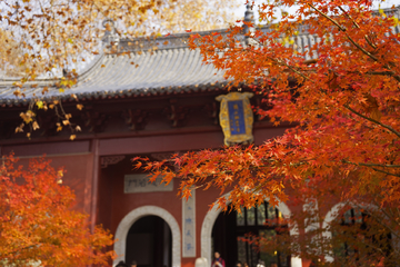 南京栖霞山栖霞寺