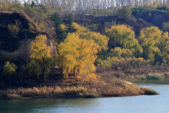 秋天的河边