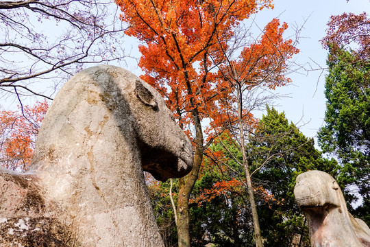 南京明孝陵神道