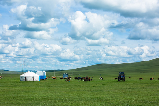 夏季蒙古包草原牧场