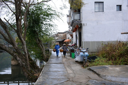 婺源风光