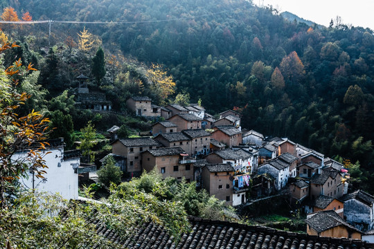 土楼山村树林