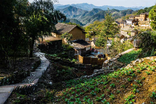 土樓山村小路