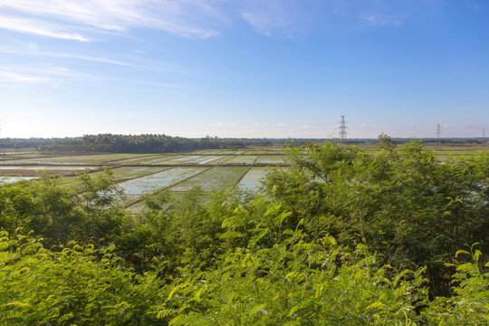 海南乡村田园