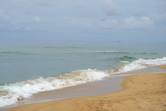 大海海浪沙滩