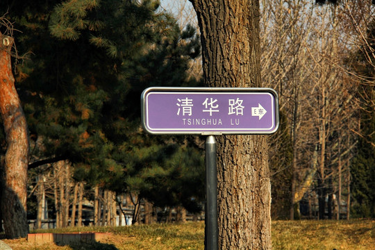 北京清华大学