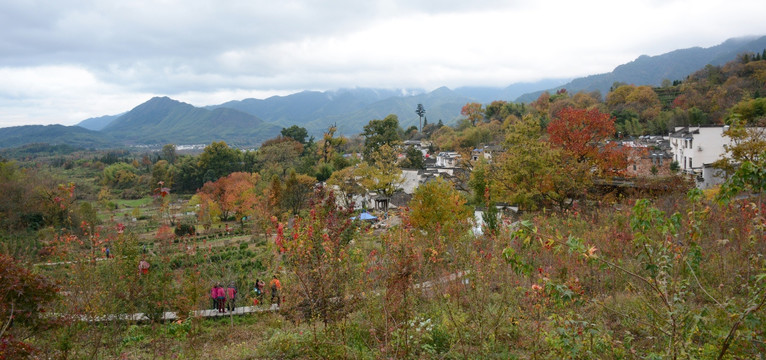 乡村旅游