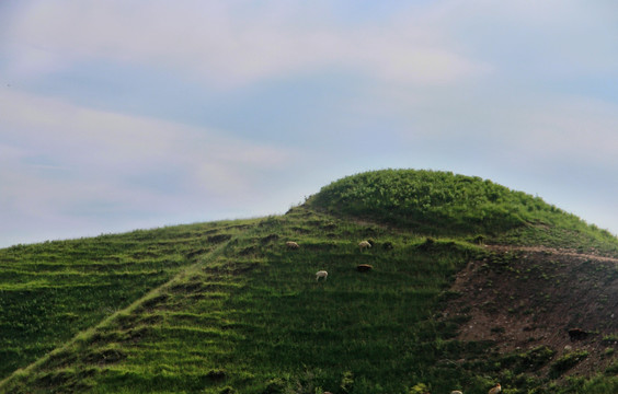 山顶风光