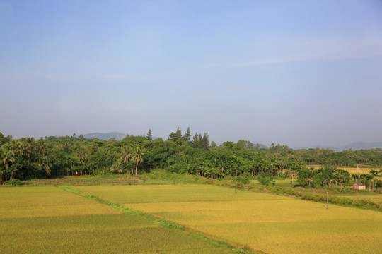 田园风光