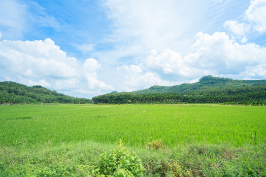 海南田园乡村公园