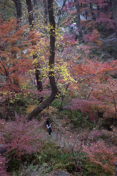 南京栖霞山