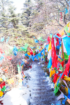 高山经幡