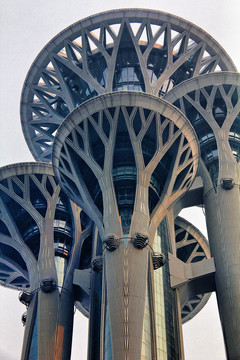 奥林匹克瞭望塔